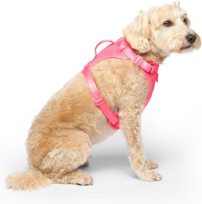 Show full view: Canada Pooch Everything No Pull Dog Harness, Neon Pink, Large slide 3 of 5