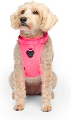Canada Pooch Everything No Pull Dog Harness, Neon Pink, Small