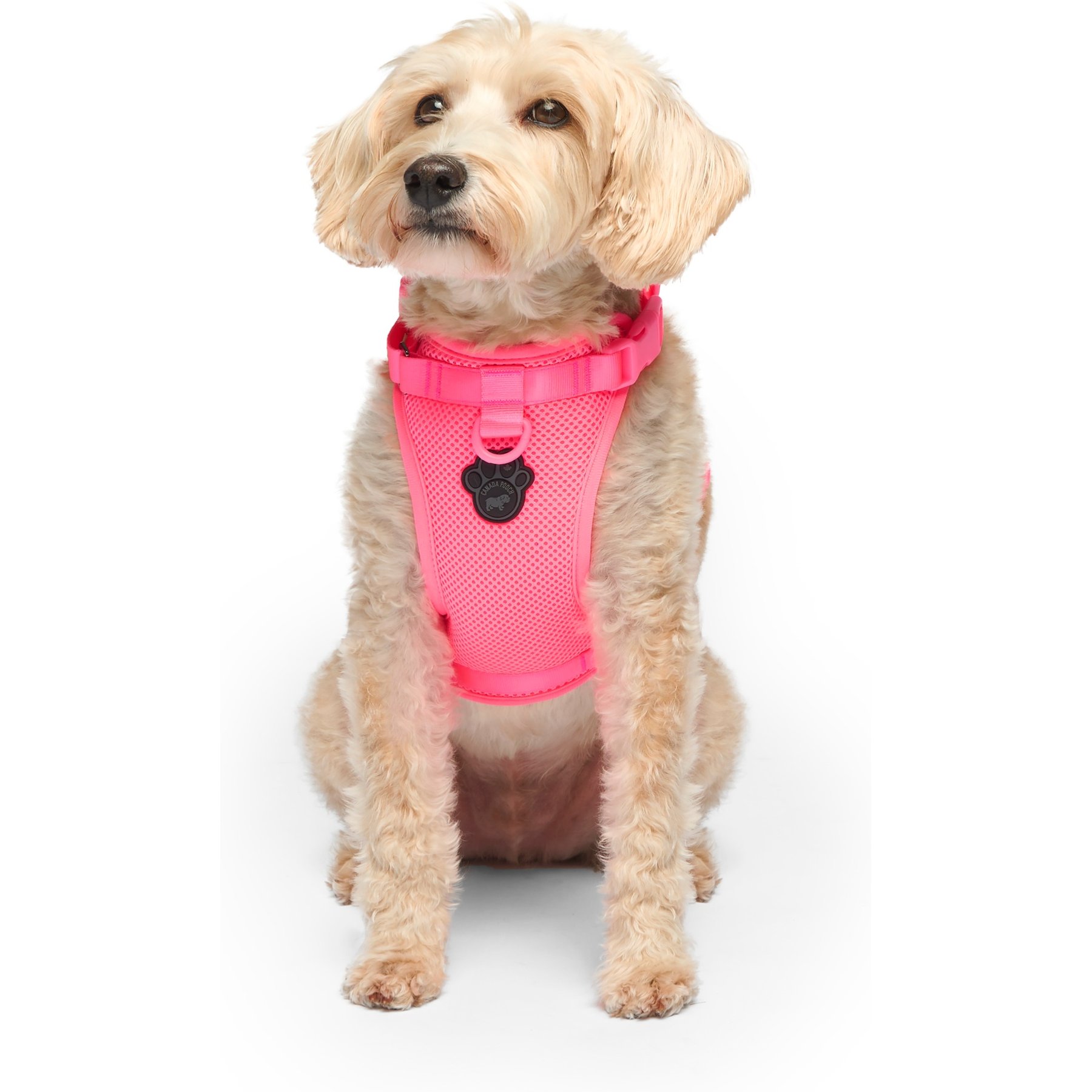 Canada Pooch Everything No Pull Dog Harness, Neon Pink, Small