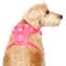 Show in main carousel: Canada Pooch Everything No Pull Dog Harness, Neon Pink, Large slide 2 of 5