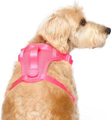 Show full view: Canada Pooch Everything No Pull Dog Harness, Neon Pink, Large slide 2 of 5