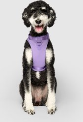 Canada Pooch Everything No Pull Dog Harness with Poop Bag Dispenser, Lavender, Large