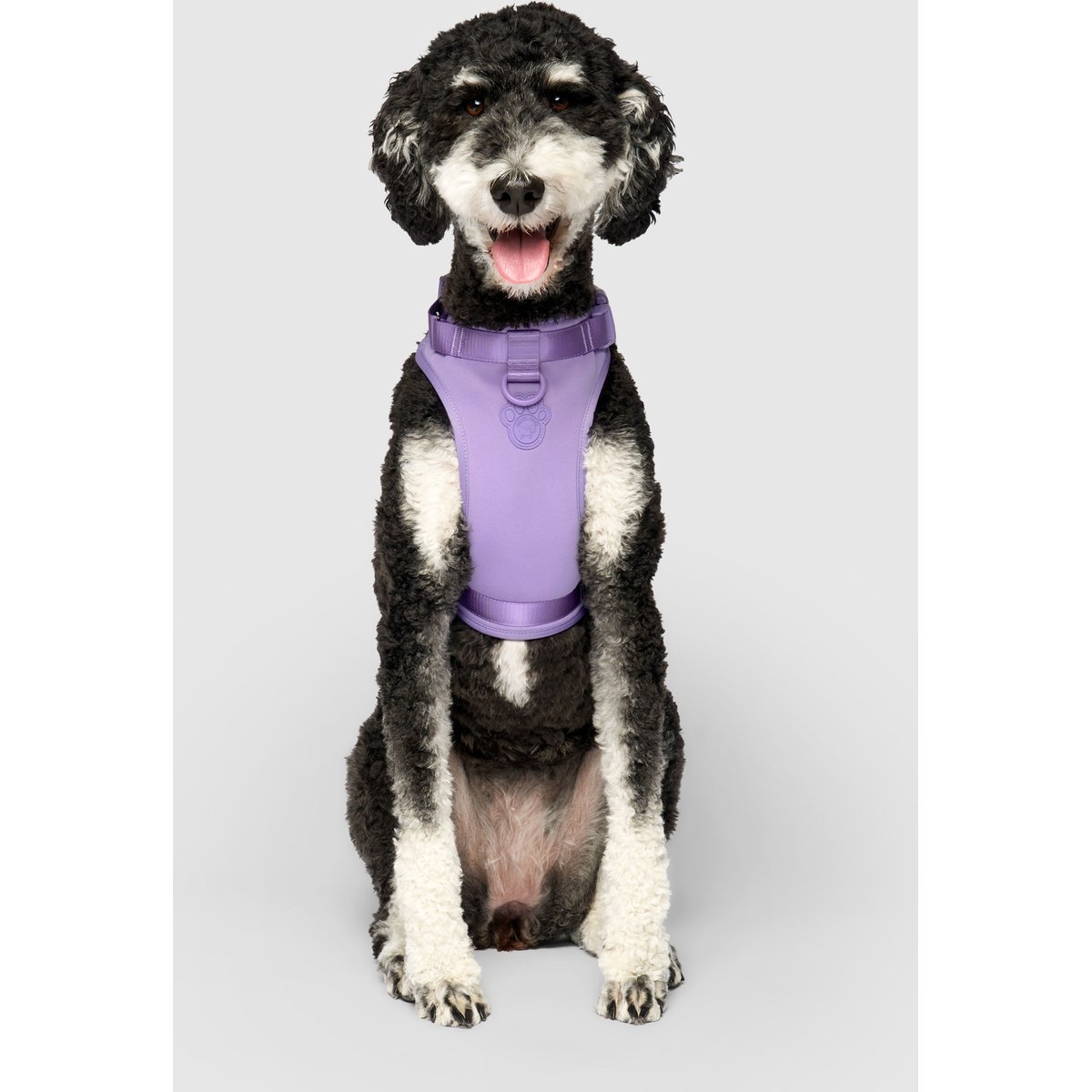 Canada Pooch Everything No Pull Dog Harness with Poop Bag Dispenser, Lavender, Large
