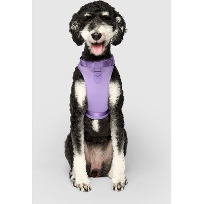 Canada Pooch Canada Pooch Everything No Pull Dog Harness with Poop Bag Dispenser, Lavender, Large