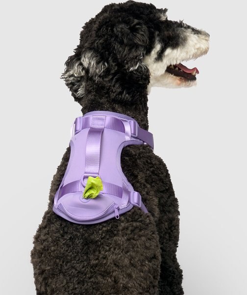 Canada Pooch Everything Dog Walking Bag with Poop Bag Dispenser