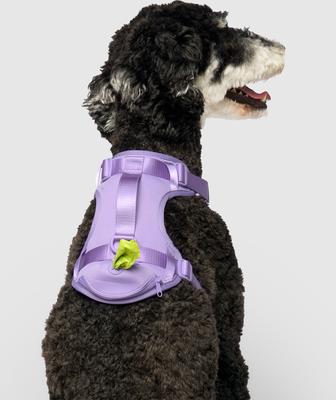 Show full view: Canada Pooch Everything No Pull Dog Harness with Poop Bag Dispenser, Lavender, Large slide 2 of 6