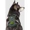 Show in main carousel: Canada Pooch Everything No Pull Dog Harness with Poop Bag Dispenser, Forest Green, Medium slide 2 of 6