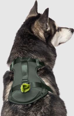 Show full view: Canada Pooch Everything No Pull Dog Harness with Poop Bag Dispenser, Forest Green, Medium slide 2 of 6