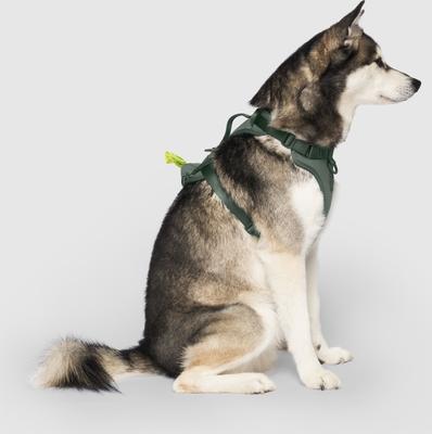Show full view: Canada Pooch Everything No Pull Dog Harness with Poop Bag Dispenser, Forest Green, Medium slide 3 of 6