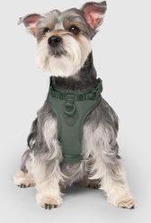 Canada Pooch Everything No Pull Dog Harness with Poop Bag Dispenser, Forest Green, Large
