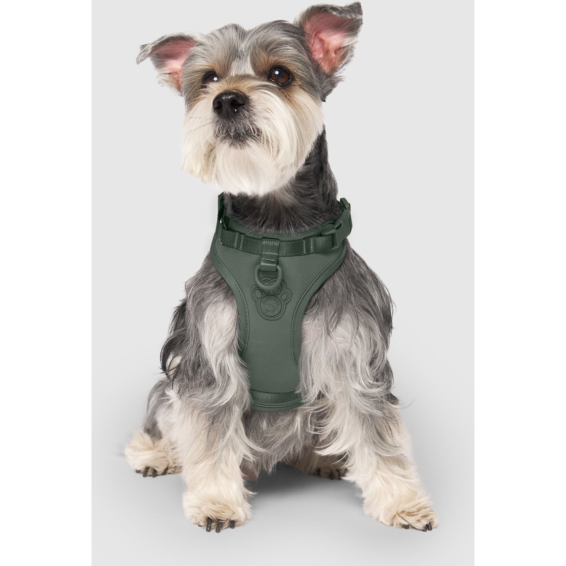 Canada Pooch Everything No Pull Dog Harness with Poop Bag Dispenser, Forest Green, X-Large
