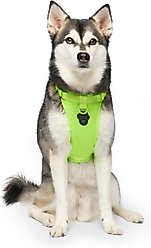 Canada Pooch Everything No Pull Dog Harness, Neon Green, Medium