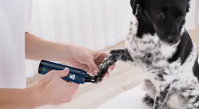 Casfuy Quiet 2 LED Medium & Large Dog & Cat Nail Grinder
