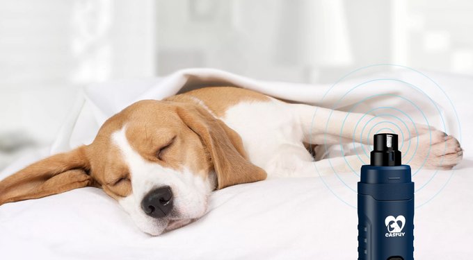 Casfuy Quiet 2 LED Medium & Large Dog & Cat Nail Grinder