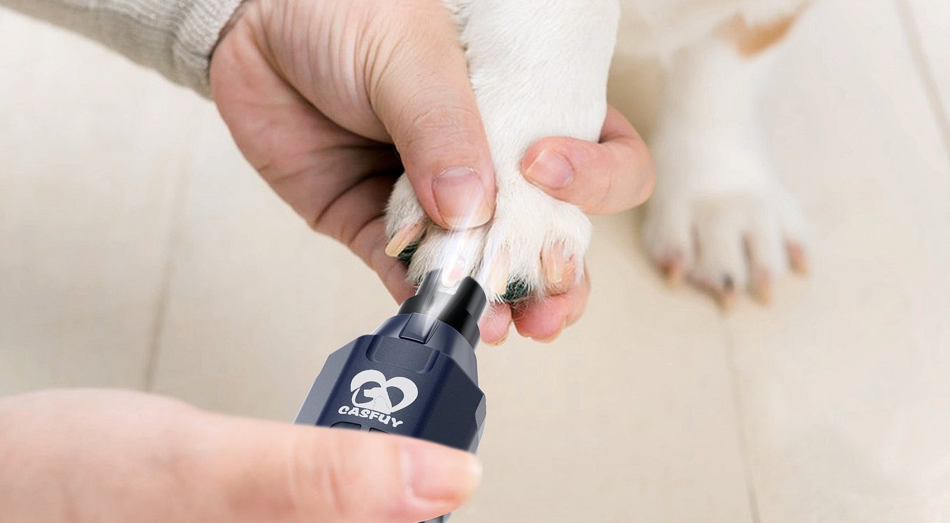 Curated visual reference: Visual Reference: Casfuy Upgraded Quiet 6 Speed Electric Dog Cat Nail Grinder