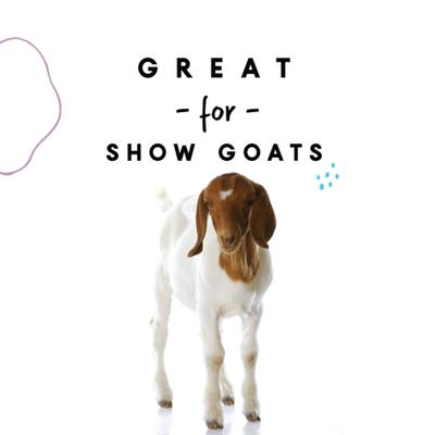 Show full view: Manna Pro Skin & Coat Goat Supplement, 4-lb slide 4 of 7