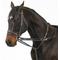 Show in main carousel: Camelot German Martingale Horse Rein, Black slide 1 of 2