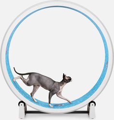One Fast Cat Gen 7 Cat Exercise Wheel, White with Koi Pond Foam Pads