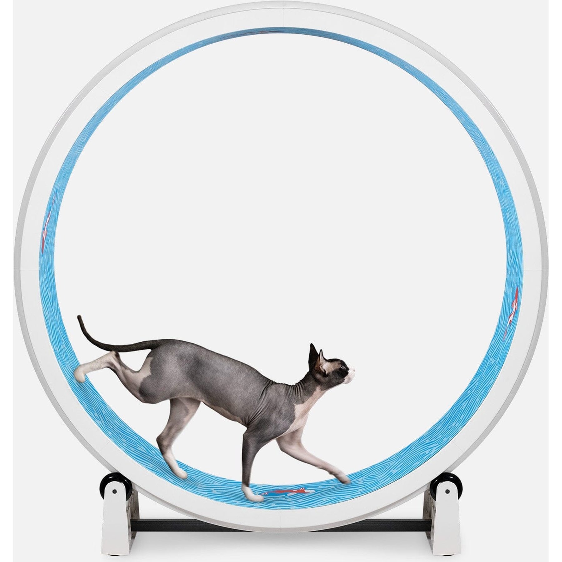 One Fast Cat Gen 7 Cat Exercise Wheel, White with Koi Pond Foam Pads