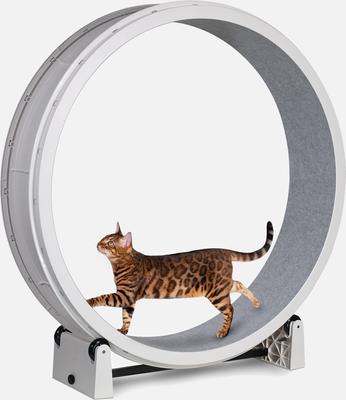Show full view: One Fast Cat Gen 7 Cat Exercise Wheel, White with Gray Felt Pads slide 2 of 5