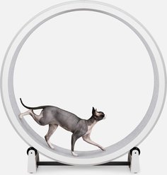 One Fast Cat Gen 7 Cat Exercise Wheel, White with Gray Felt Pads