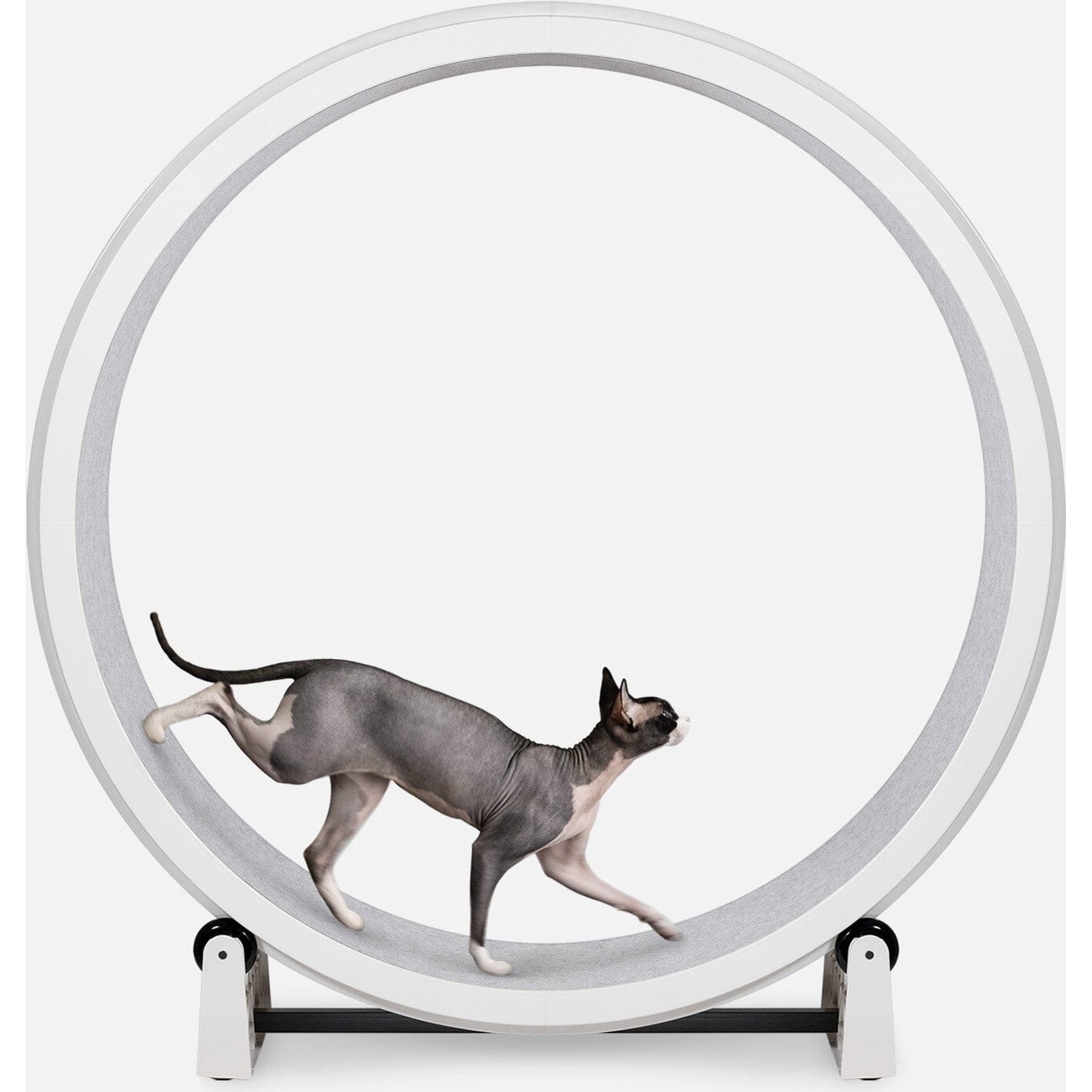 専用　キャットホイール　ONE　FAST　CAT Cat Exercise Wheel by One Fast Cat | Made in California