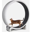 Out of Stock - ONE FAST CAT Gen 7 Cat Exercise Wheel, White with Black ...