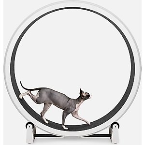 ONE FAST CAT Gen 7 Cat Exercise Wheel, White with Black Felt Pads