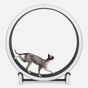 One Fast Cat Gen 7 Cat Exercise Wheel, White with Black Felt Pads
