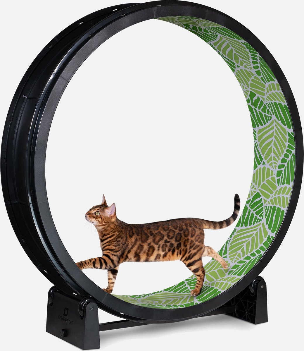 ONE FAST CAT Gen 7 Cat Exercise Wheel, Black with Jungle Leaves Foam ...