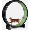 ONE FAST CAT Gen 7 Cat Exercise Wheel, Black with Jungle Leaves Foam ...