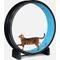 Show in main carousel: One Fast Cat Gen 7 Cat Exercise Wheel, Black with Koi Pond Foam Pads slide 2 of 5