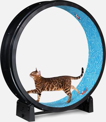 Show full view: One Fast Cat Gen 7 Cat Exercise Wheel, Black with Koi Pond Foam Pads slide 2 of 5