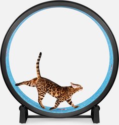 One Fast Cat Gen 7 Cat Exercise Wheel, Black with Koi Pond Foam Pads