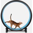 ONE FAST CAT Gen 7 Cat Exercise Wheel, Black with Koi Pond Foam Pads ...