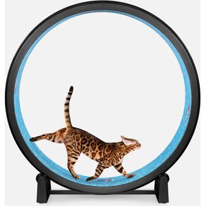 One Fast Cat Gen 7 Cat Exercise Wheel, Black with Koi Pond Foam Pads