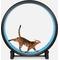 Show in main carousel: One Fast Cat Gen 7 Cat Exercise Wheel, Black with Koi Pond Foam Pads slide 1 of 5