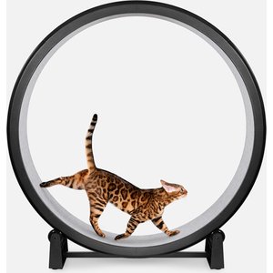 One Fast Cat Gen 7 Cat Exercise Wheel, Black with Gray Felt Pads