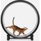 Show in main carousel: One Fast Cat Gen 7 Cat Exercise Wheel, Black with Gray Felt Pads slide 1 of 5