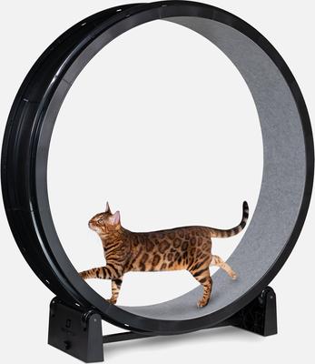 Show full view: One Fast Cat Gen 7 Cat Exercise Wheel, Black with Gray Felt Pads slide 2 of 5