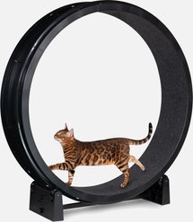 One Fast Cat Gen 7 Cat Exercise Wheel, Black with Black Felt Pads slide 2 of 3