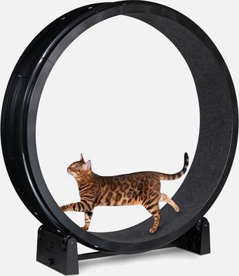 Show full view: One Fast Cat Gen 7 Cat Exercise Wheel, Black with Black Felt Pads slide 2 of 5