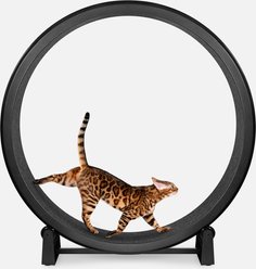 One Fast Cat Gen 7 Cat Exercise Wheel, Black with Black Felt Pads
