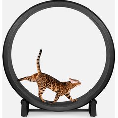 One Fast Cat Gen 7 Cat Exercise Wheel, Black with Black Felt Pads