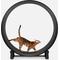 Show in main carousel: One Fast Cat Gen 7 Cat Exercise Wheel, Black with Black Felt Pads slide 1 of 5