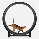 One Fast Cat Gen 7 Cat Exercise Wheel, Black with Black Felt Pads