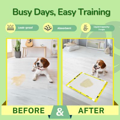 Show full view: PET N PET Dog Training Pads, 22 x 23-in, 50 count, Unscented slide 7 of 8