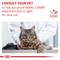 Show in main carousel: Royal Canin Veterinary Diet Adult Renal Support D Thin Slices in Gravy Wet Cat Food, 3-oz can, case of 6 slide 9 of 12