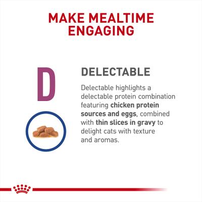 Show full view: Royal Canin Veterinary Diet Adult Renal Support D Thin Slices in Gravy Wet Cat Food, 3-oz can, case of 6 slide 4 of 12