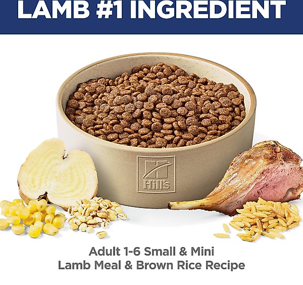 Hill's Science Diet Adult Small & Mini Lamb Meal & Rice Recipe Dry Dog Food